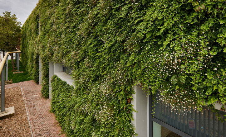 ESG écht laten werken voor je organisatie